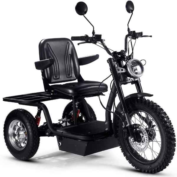 mototec 48v 800w electric trike