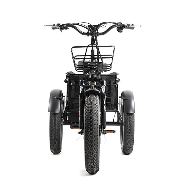E-Trike Tricycle électrique , e-fati 500w 48v 835wh