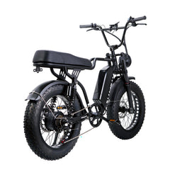 Nakto F2 750W 48V Electric Bike