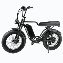 Nakto F2 750W 48V Electric Bike