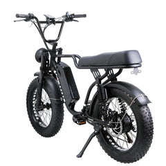 Nakto F2 750W 48V Electric Bike