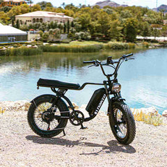 Nakto F2 750W 48V Electric Bike