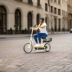 Razor EcoSmart Metro Electric Scooter